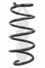 SPIDAN 86621 Coil Spring